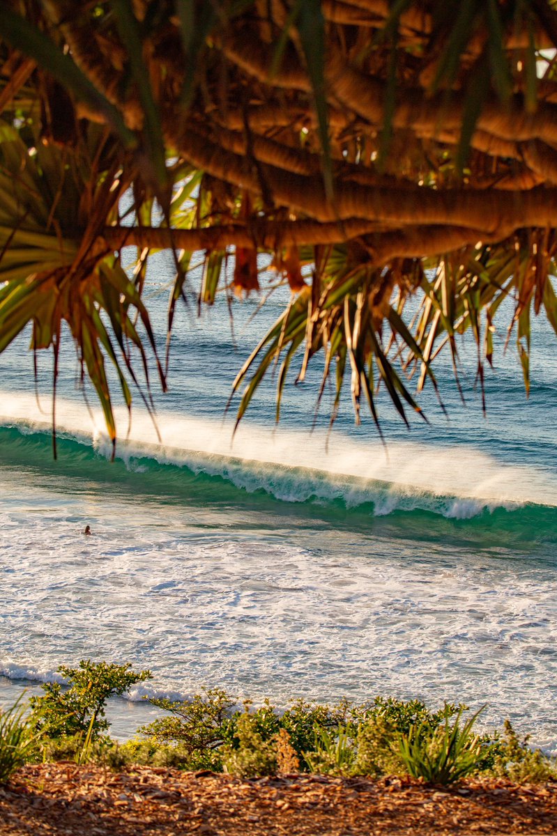 Dan Wilkinson AKA @hotndelicious 🎞🌊✨ tweet media