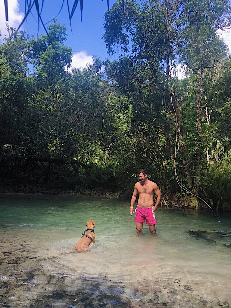 Eb4TPbaWoAAPtAV?format=jpg&name=medium