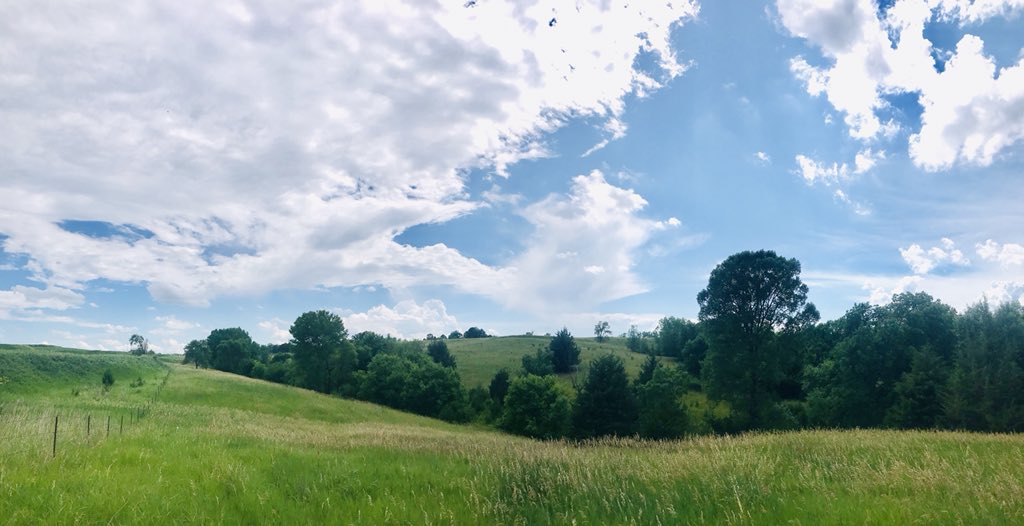 You walk around Lost Rail & the silence nearly lifts the stress right off your shoulders. Places like this are good for the soul, especially so close to home. If Burlington had succeeded, a world-class golf club wouldn’t even be an option. You’d hear train whistles.19/