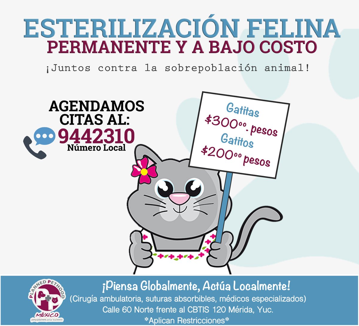 plannedpethood_'s tweet photo. #PPMNoticias Campaña de Esterilización Felina a Bajo Costo. 

 Planned Pethood México | Hospital Veterinario  
Calle 60 Norte Mérida, Yucatán 
Citas al 9442310 https://t.co/3mLFzzkCD0