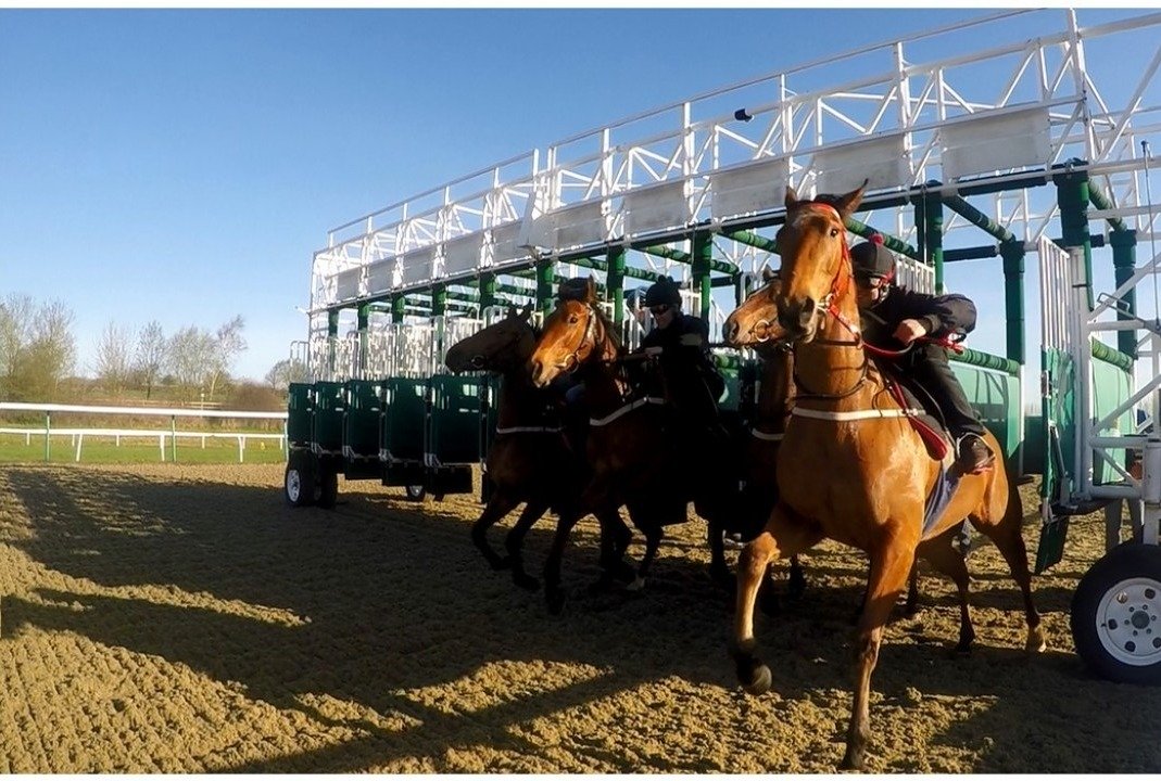 SterilineRacing's tweet photo. Gate training is part of race training. Before a horse can ever race, it must earn its "gate card" -- in other words, the horse must first prove in training that it will load, wait quietly and break cleanly. https://t.co/3YApXFMULp
#traininggates #startinggates #sterilineracing https://t.co/AnyRJSYLq0
