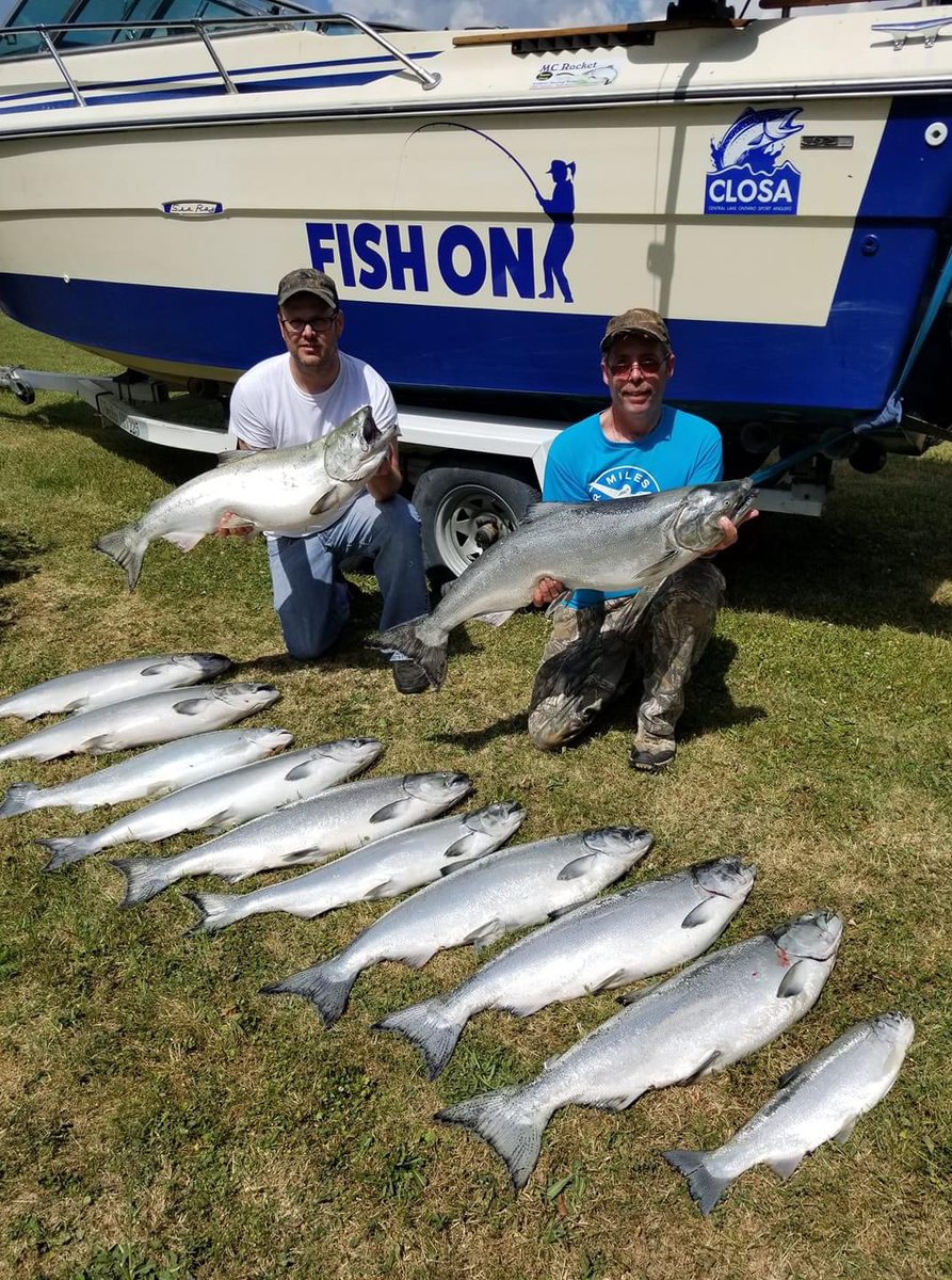 CskiChris's tweet photo. @Brantromyzon @LampreyControl Looks like lamprey control is doing a great job in Lake Ontario! Limits of salmon and clean of lamprey on a beauty July 1st, Canada ๐จ๐ฆ Day outing! #lampreycontrol #glfc #usfws #dfo https://t.co/sTIdAZS63j