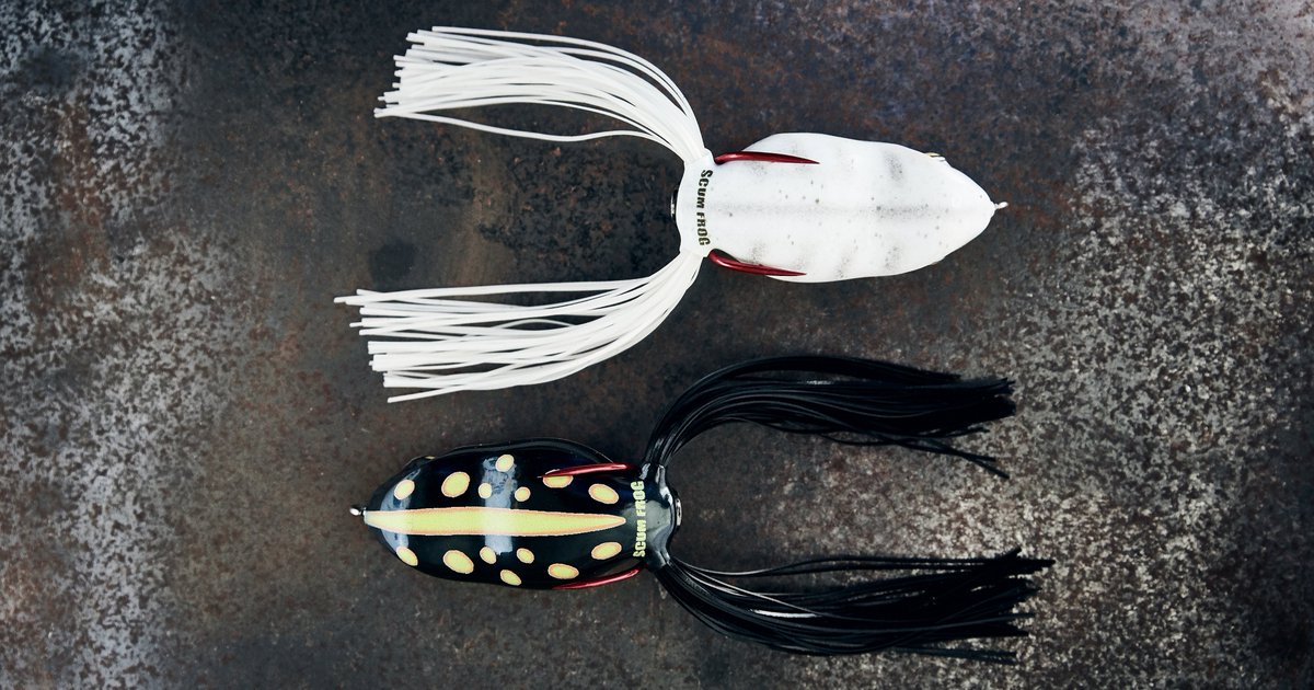 scum frog launch frog