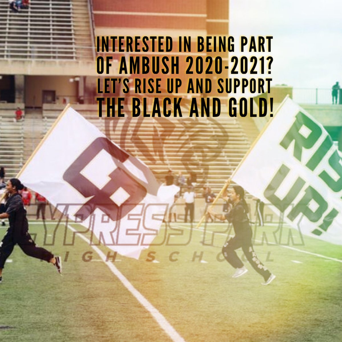 CypressParkHS's tweet photo. #TigerNation, Wanna get involved and show your spirit? Go to https://t.co/p1WbgLoZq3 for the application. Due July 22! #RiseUp https://t.co/vMfRZmBMfL