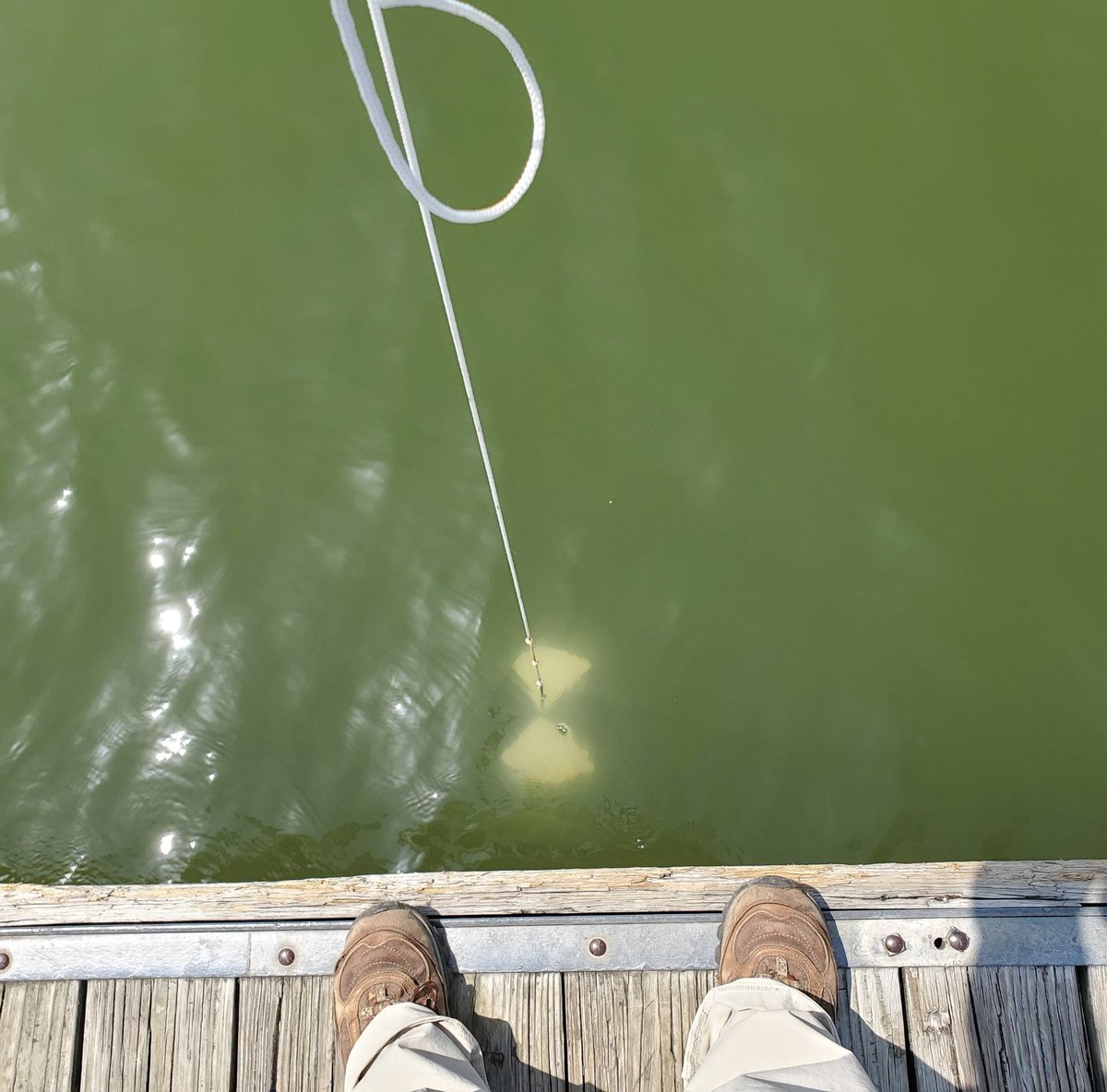 DrChraibi's tweet photo. Kicking off a month of #SecchiDipIn in Texas at Whitney Lake: 0.9 meters @SecchiDipIn https://t.co/5uxBZvQ9xH
