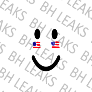 Brick Hill Custom Leaks : r/BrickHill