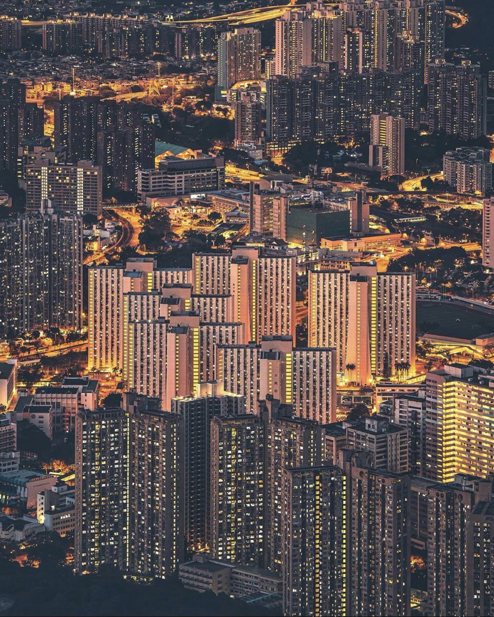 Caravan_Designs's tweet image. Firey jungle feeling