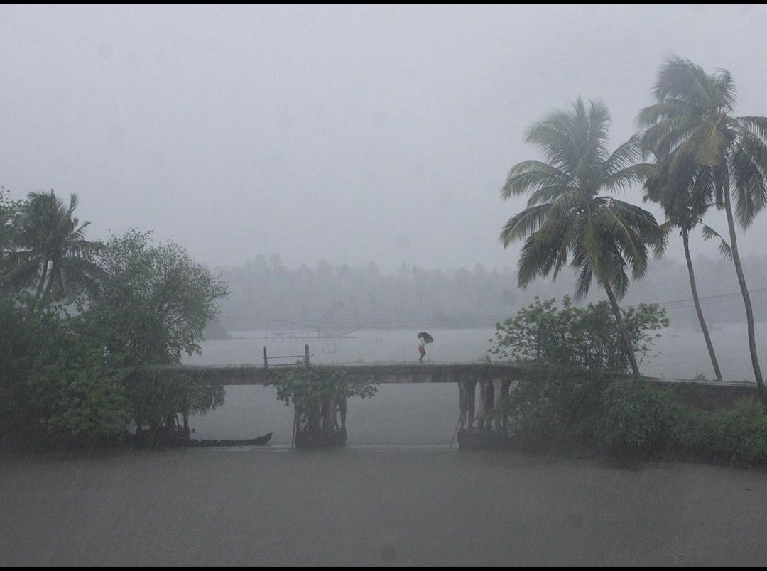 Thulasi Kakkat's new photo series is the closest I've come to experiencing #Kerala's monsoon in 2020. 

His imagery, much like the state's rainy mood, is intense &amp; evocative. Thulasi, a photojournalist at <a href="/the_hindu/">The Hindu</a>, is new to Instagram. Show him some ❤

instagram.com/thulasikakkat