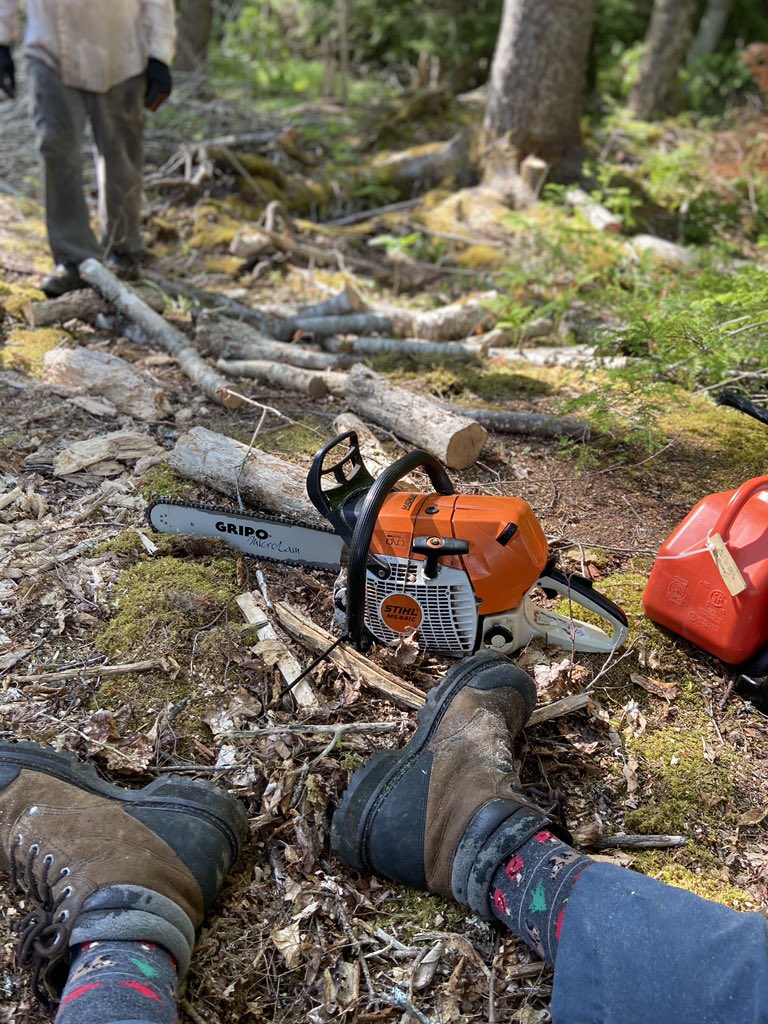 frsimoncc's tweet photo. Great way to spend #CanadaDay pretending to be lumberjacks with my brother @CompanionsCross #Canadasocks Dan’s first time using a chainsaw! #chainsawchaps https://t.co/dfmrrj8c2z