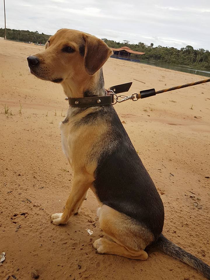 Gifty Cluett (@currygifty) on Twitter photo 