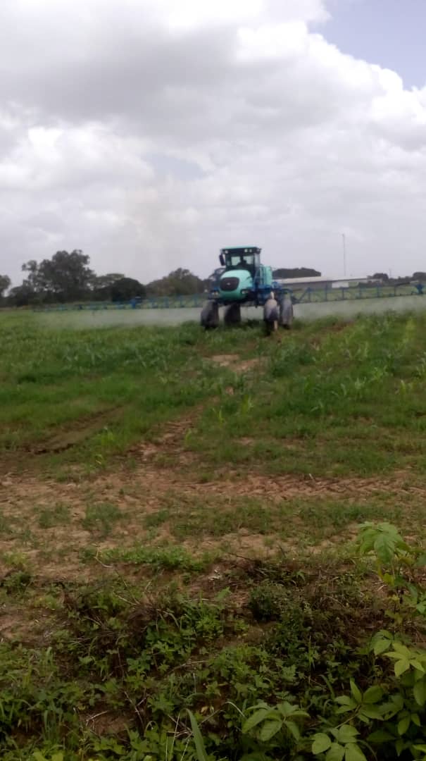 DelAgroVe (@delagrove) on Twitter photo En la unidad de producción socialista agrícola Maringa del estado #Cojedes en alianza estratégica con el Centro de Recría RMR 20 realizaron fumigación en el cultivo de maíz blanco.#VenezuelaProduciendo <a href="/NicolasMaduro/">Nicolás Maduro</a> <a href="/wcastroPSUV/">Wilmar Castro</a> <a href="/MinAgriculturaV/">MinAgriculturaVe</a> <a href="/agropatriav/">Agropatria</a> <a href="/hernanjdiazr/">Produccion Nacional</a> En la unidad de producción socialista agrícola Maringa del estado #Cojedes en alianza estratégica con el Centro de Recría RMR 20 realizaron fumigación en el cultivo de maíz blanco.#VenezuelaProduciendo <a href="/NicolasMaduro/">Nicolás Maduro</a> <a href="/wcastroPSUV/">Wilmar Castro</a> <a href="/MinAgriculturaV/">MinAgriculturaVe</a> <a href="/agropatriav/">Agropatria</a> <a href="/hernanjdiazr/">Produccion Nacional</a>