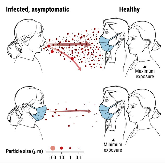 ScienceMagazine's tweet photo. Given the lengthy presymptomatic phase and asymptomatic infections, a new #SciMagPerspective argues that wearing well-fitted masks, especially in enclosed indoor spaces, is important to help prevent #SARSCoV2 transmission. https://t.co/aNFshLN7Al @ScienceVisuals https://t.co/sMOGcgj3Bk