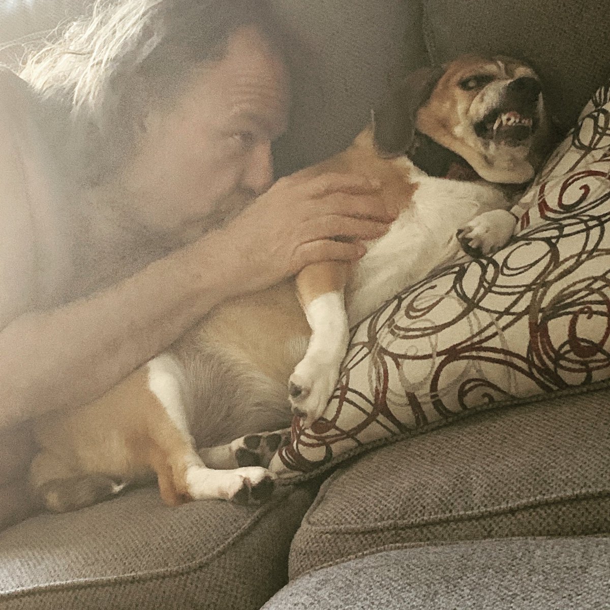 wessmo's tweet image. DON'T WAKE THE PRINCESS...