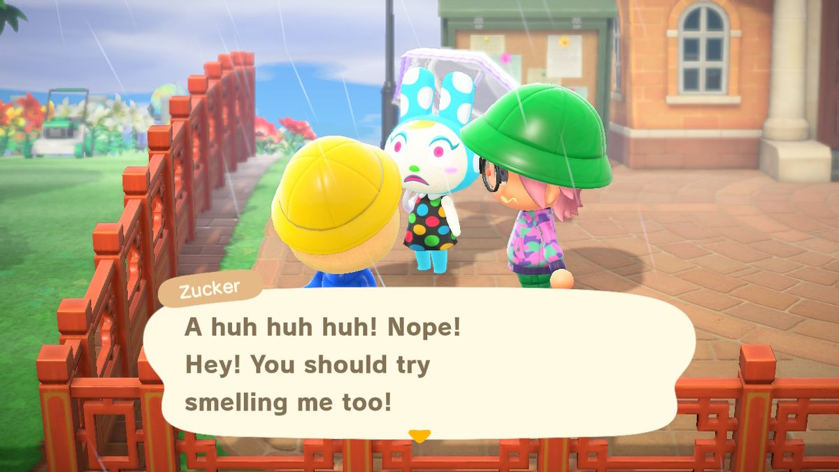 octoeliter's tweet photo. god sake, Zucker lol (animal crossing) https://t.co/JlbmXeF2eB