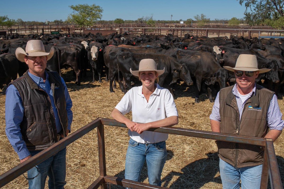 AAM Investment Group (@aaminvestments) on Twitter photo This is a foundational investment for AAM's Australian Livestock Co (ALC) and we thank the Hughes family for working with us to create such a unique opportunity and transaction" - Tim Gallagher, AAM CEO
Read more via <a href="/qclnews/">Queensland Country Life</a>: bit.ly/2NKfZSh
#agriculture #investments This is a foundational investment for AAM's Australian Livestock Co (ALC) and we thank the Hughes family for working with us to create such a unique opportunity and transaction" - Tim Gallagher, AAM CEO
Read more via <a href="/qclnews/">Queensland Country Life</a>: bit.ly/2NKfZSh
#agriculture #investments