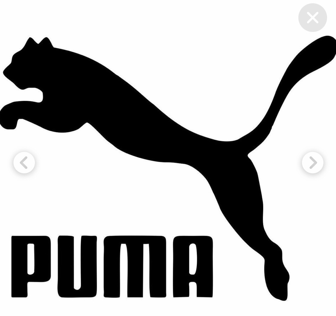 Puma logo Evolution