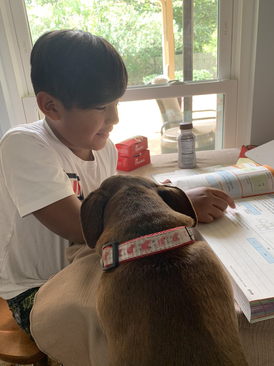 lsmithclass's tweet image. Buddy thinks he can teach now after working with me all these months! He’s helping me give a former student some extra help this summer. @HumbleISD_TE