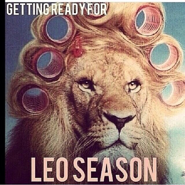 Leo_Tweets's tweet photo. #Leo as soon as July hits https://t.co/4kXDKoR4YX
