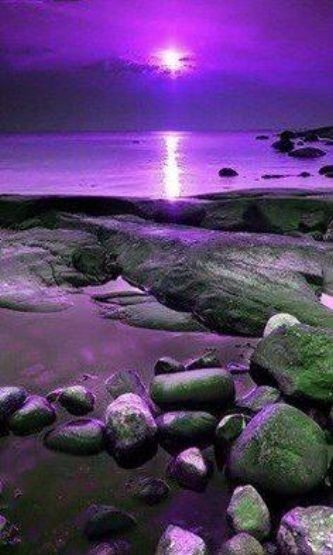 ninscrystal's tweet photo. "The Soul steers me into nature's Silence."

   ~Amy Welland- Crosby

        💜🕊Thankful Thursday 🕊💜 https://t.co/iW4hUeYqEe