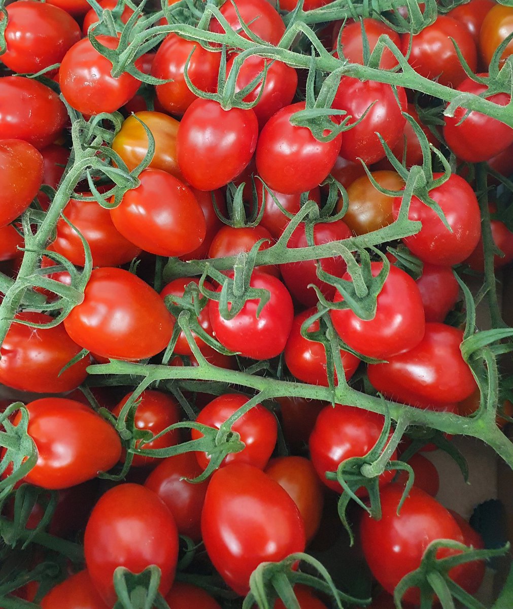 We grow all our tomatoes on site. They fruit in our greenhouses from March to Oct & we don't use insecticides. We have loose round, large vine, small vine, plum vine, cherry and yellow cherry. 🔎 Find us on the A149 near Stalham ☎️ Call us on 01692 580226