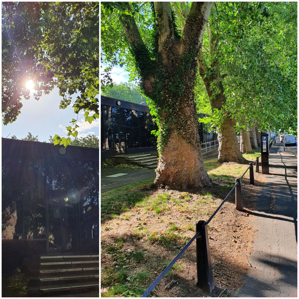 st_friendsof's tweet photo. wouldn't it be SO awful to loose this beautiful morning light?
@PACTcambridge #urbangreenspace #stopthedevelopment #petersfield #cambridge #breathingspace #urbanparks #urbantrees https://t.co/17XsWXScnm