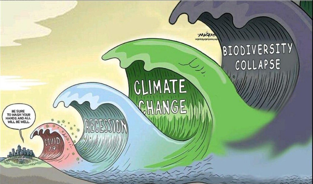 Climate and Nature cartoon of the day: Wash Your hands! @mackaycartoons