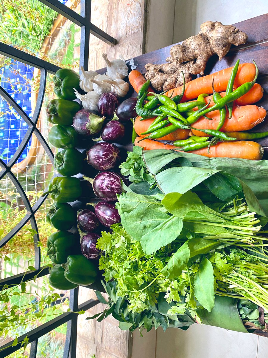 DhutBudbakk's tweet photo. The exciting #Organic veggies 📦 from @HarvestingFN is back after early customer feedback with some changes! 😍
Thanks @ruchitgarg

Fresh, clean &amp; colorful this time. Limited supply, to begin with, to start in some time #Bangalore 
#Helpthefarmers #eathealthy #HFN #farmtofork https://t.co/9z5ANkUnP4