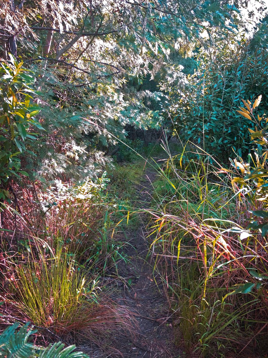 TokaiMTB tweet media