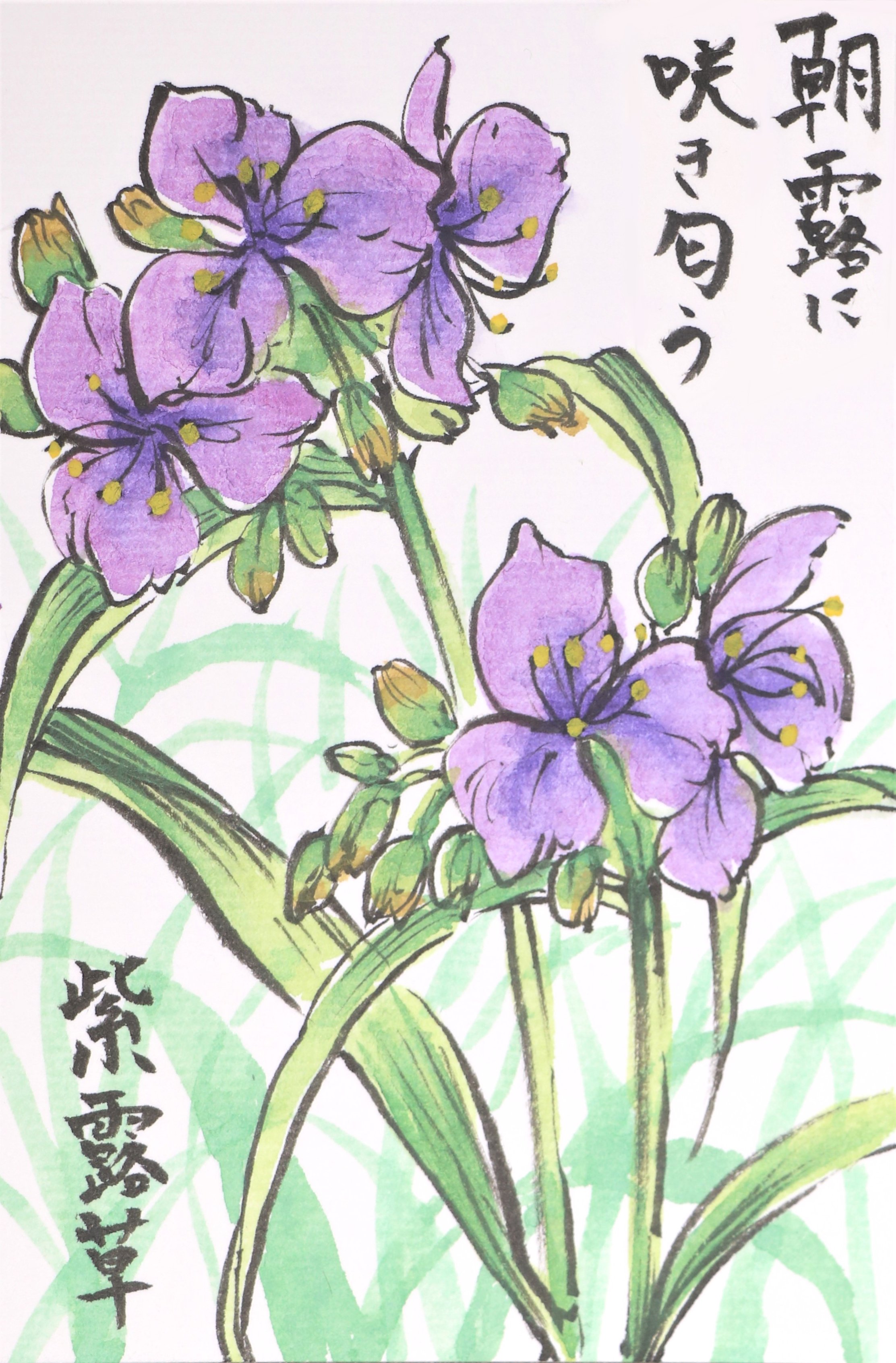 快適art絵手紙 今日は久々の晴れ また明日から雨が多いですね 梅雨らしい絵手紙２つです Youtubeの描き方解説もあります 紫露草 T Co Lkjerafrm7 カエルと紫陽花 T Co Fqforkoqcz 絵手紙 快適絵手紙 イラスト 花 T Co