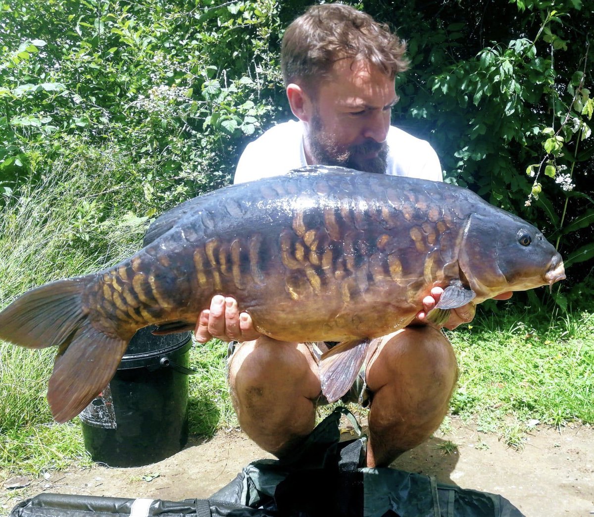 Russ followed up his thirty with the sought after scaley Sutton from <a href="/VSFisheries/">VS Fisheries</a> at 25lb 12oz. Great fishing! #carp #carpfishing #bigcarp
