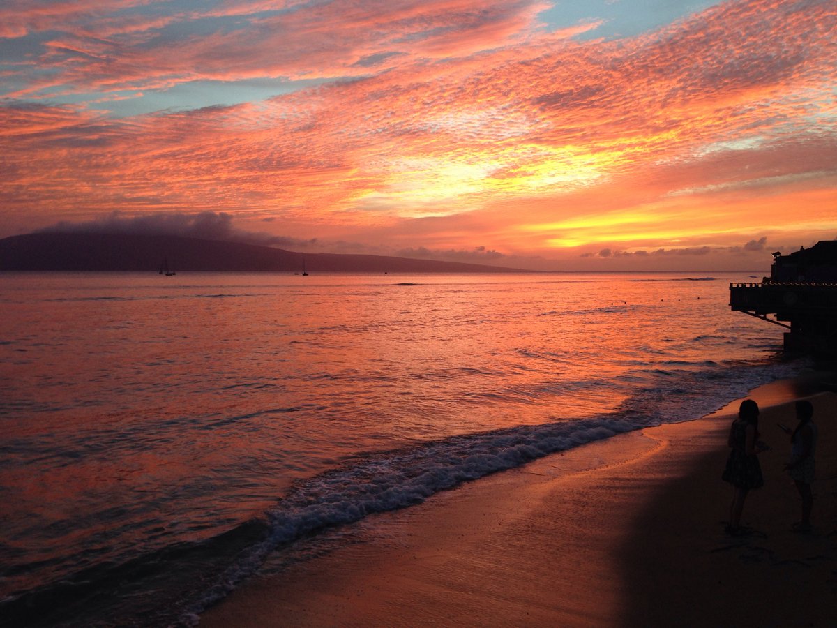 Joseph Gordon-Levitt tweet media