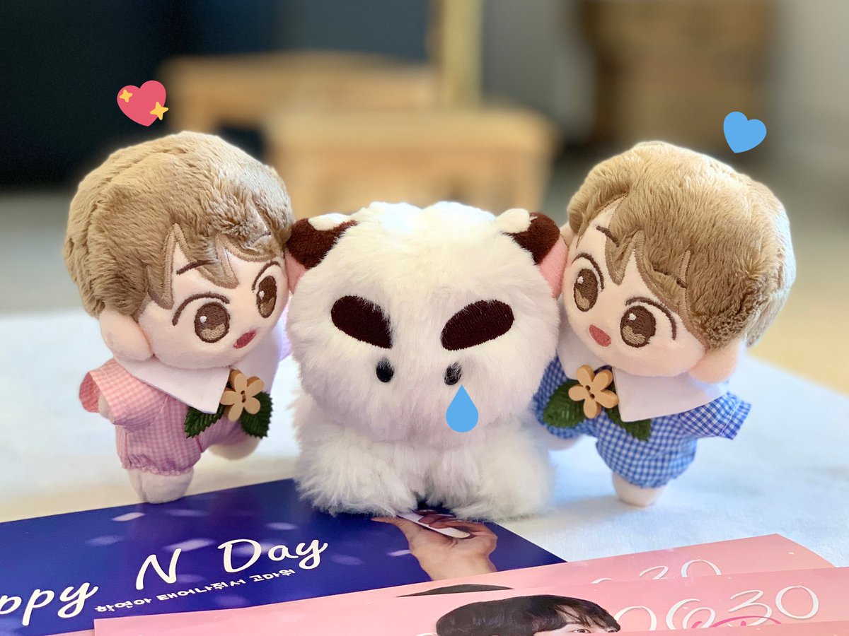 SOM_NNNNN's tweet photo. 그리고 생일 축하해주러 먼 길을 달려와준 뽀냥이🐯💕
근데 울 뽀냥 망고야한테 소식 못 듣고 와가지구.. 우리집 아가야들 다소 과발랄하지만 다 울 뽀냥 귀여워서 구러눈고양😘❣️ (토닥토닥..

#솜에네넨_일상 #요니동자 #뽀냥이

#나의여름은학연이로가득해
#HAPPYNDAY https://t.co/Df23gRiu1e
