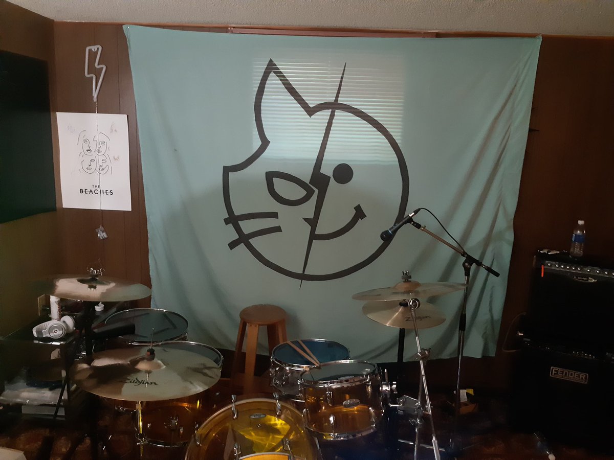 Cats vs Humans tweet media