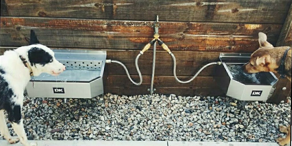 dkrobotics_'s tweet image. Recent participants of our Brisbane pets and their people coffee table book Emma and Daniel have brought out a &quot;must have &quot; automatically refilling stainless steel drinking station for furry friends of Brisbane and Australia wide. Take a look at their fabulous invention .