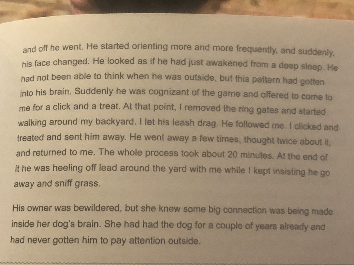 (I personally see no reason spiritually can’t be quantified too, but I do think it’s much harder to quantify!)Anyway...The Reactive German Shepard Mix story also speaks to me on a pretty deep level, especially “he looked as if he had just awakened from a deep sleep”.