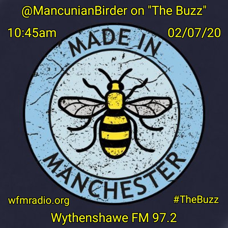 @wfm972 @MrColinOwen @ChrispLOL @soulsurvguide @BeWellMcr @lucy98156682 @Treeoflifecentr @BrookNorthINT @mcrlco Buzzin to bee on #TheBuzz 🐝 this morning talking about the #Manchester Festival Of Nature and the Greater Manchester Birding City Region Project @MancNature @Scrozatron79 @visit_mcr @Lindsey_Chapman