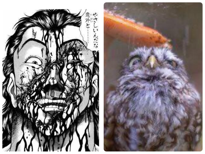 加藤清澄のtwitterイラスト検索結果 加藤清澄のtwitterイラスト検索結果