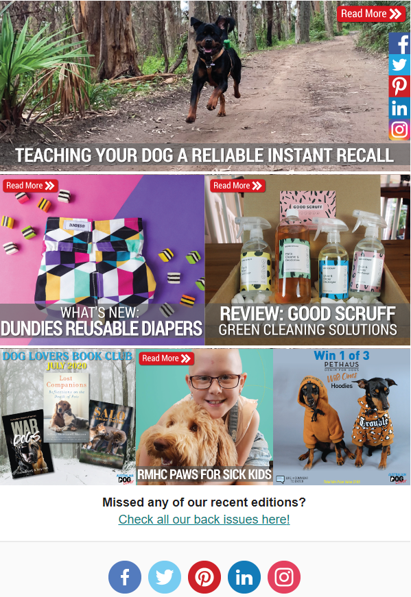 OzDogLover's tweet photo. #AustralianDogLoverMagazine July / No.59 is out!
https://t.co/PJJfGJLiQJ
Teaching a Reliable Instant #Recall🐾, Caring for #seniordogs, Top Spots for #dogfriendly #Camping⛺, New Cancer Treatment for #Dogs, #PawsforSickKids, Win 1 of 3 #PetHaus #Dog Hoodies, Review: Good Scruff https://t.co/zI2NhFzXnP