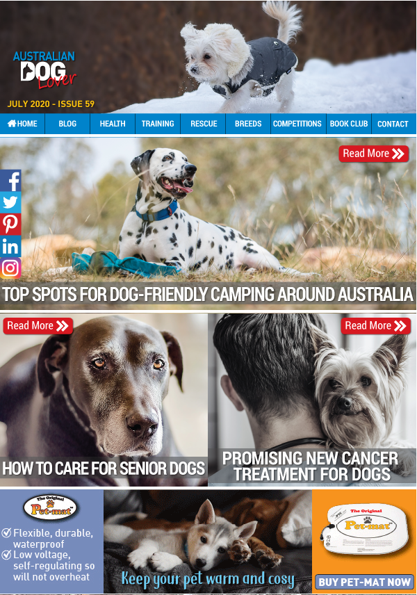 OzDogLover's tweet photo. #AustralianDogLoverMagazine July / No.59 is out!
https://t.co/PJJfGJLiQJ
Teaching a Reliable Instant #Recall🐾, Caring for #seniordogs, Top Spots for #dogfriendly #Camping⛺, New Cancer Treatment for #Dogs, #PawsforSickKids, Win 1 of 3 #PetHaus #Dog Hoodies, Review: Good Scruff https://t.co/zI2NhFzXnP