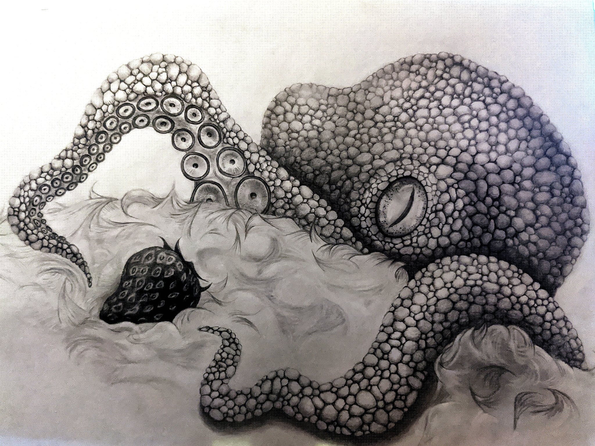 タコ 鉛筆画 イラスト Www Vedhainternationalschool Com