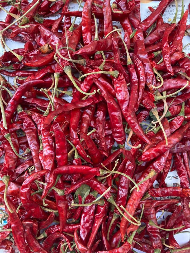 CrescoFoods's tweet photo. Our premium grade S17 Chili from India is now available to be exported.

Contact us #Crescofoods today for a quotation.

#worldwideshipping #shippingworldwide #Chili #freshproduce #freshproducesupplier #fruitsimportexport #crescoproduce #premiumgrade #India #foodtrading #Bangkok https://t.co/fXiHb5PzHw