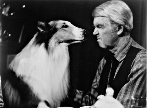 -“Fool's Parade”, 1971.-The Shootist, 1976.-“Airport '77”, 1977.-“The Big Sleep”, 1978.-“The Magic of Lassie”, 1978.-“Afurika monogatari”, 1980.