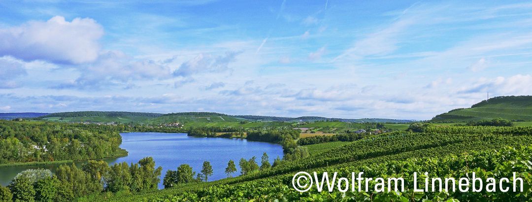 In #Baden-Württemberg schlängeln sich #Kocher, #Jagst und #Neckar durch sonnige Weinlagen🍇, dichte Wälder🌲🌲 und ruhige Täler. Durch gut ausgebaute und beschilderte Wege die perfekte 😍Kulisse für eine #Radtour🚴‍♀️ 👉buff.ly/2D2Kkt5