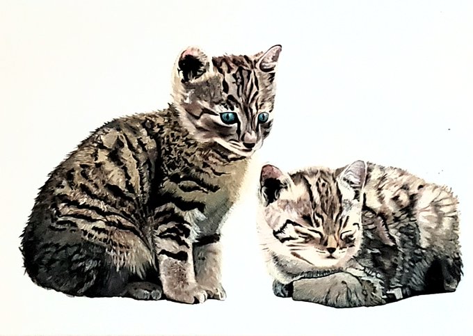 あなたに出会わなければのtwitterイラスト検索結果 あなたに出会わなければのtwitterイラスト検索結果
