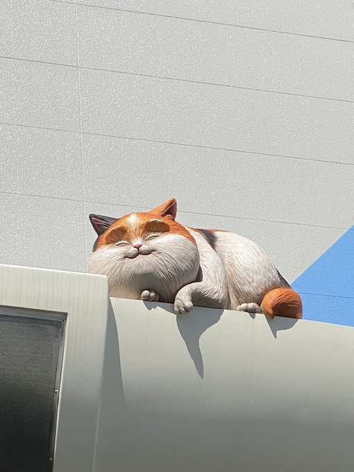 眠り猫のtwitterイラスト検索結果 古い順