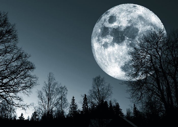 Ghost_Bloodmoon's tweet photo. Werewolves be like: "I know a place" and bring you here. https://t.co/VupZc6FQer