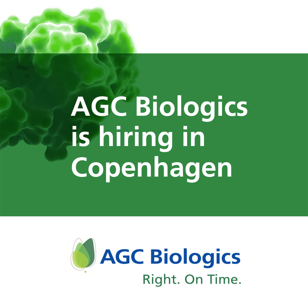 AGCBiologics's tweet photo. We are hiring in Copenhagen! Our Copenhagen team is growing and we're looking for new team members to grow with us. Openings in QUALITY, PROJECT MANAGEMENT, PROCESS DEVELOPMENT, SUPPLY CHAIN, MANUFACTURING, FINANCE and more! 

https://t.co/VxCOZrVvAL

#hiring #jobs #recruitment https://t.co/z4HjDlOPg8