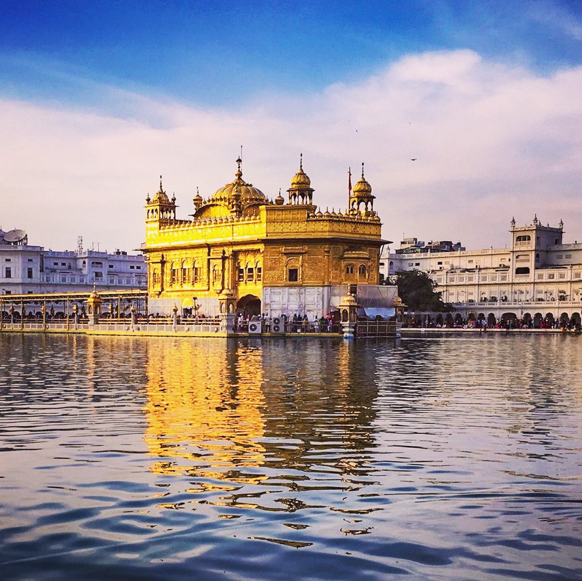 Nisha8077's tweet photo. #NewProfilePic https://t.co/C2jH8JbToB