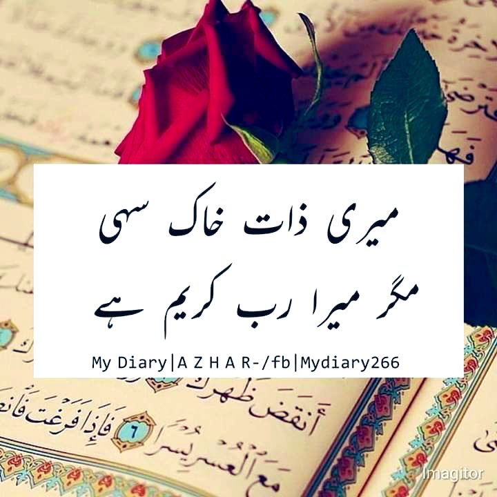 Sarfraz Virk tweet media