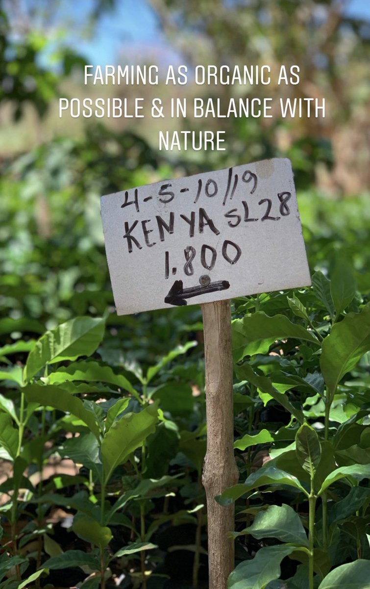 THEBARNBERLIN's tweet image. This is how we source our coffees. 

Specialty Coffee is an Opportunity to change the Value Chain in Coffee &amp;amp; to pay everyone Fairly.